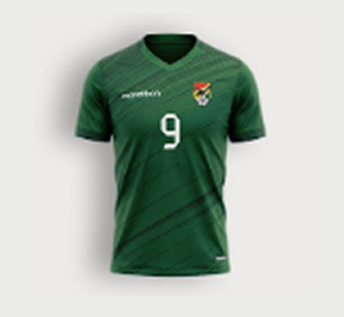 Poleras de la selección